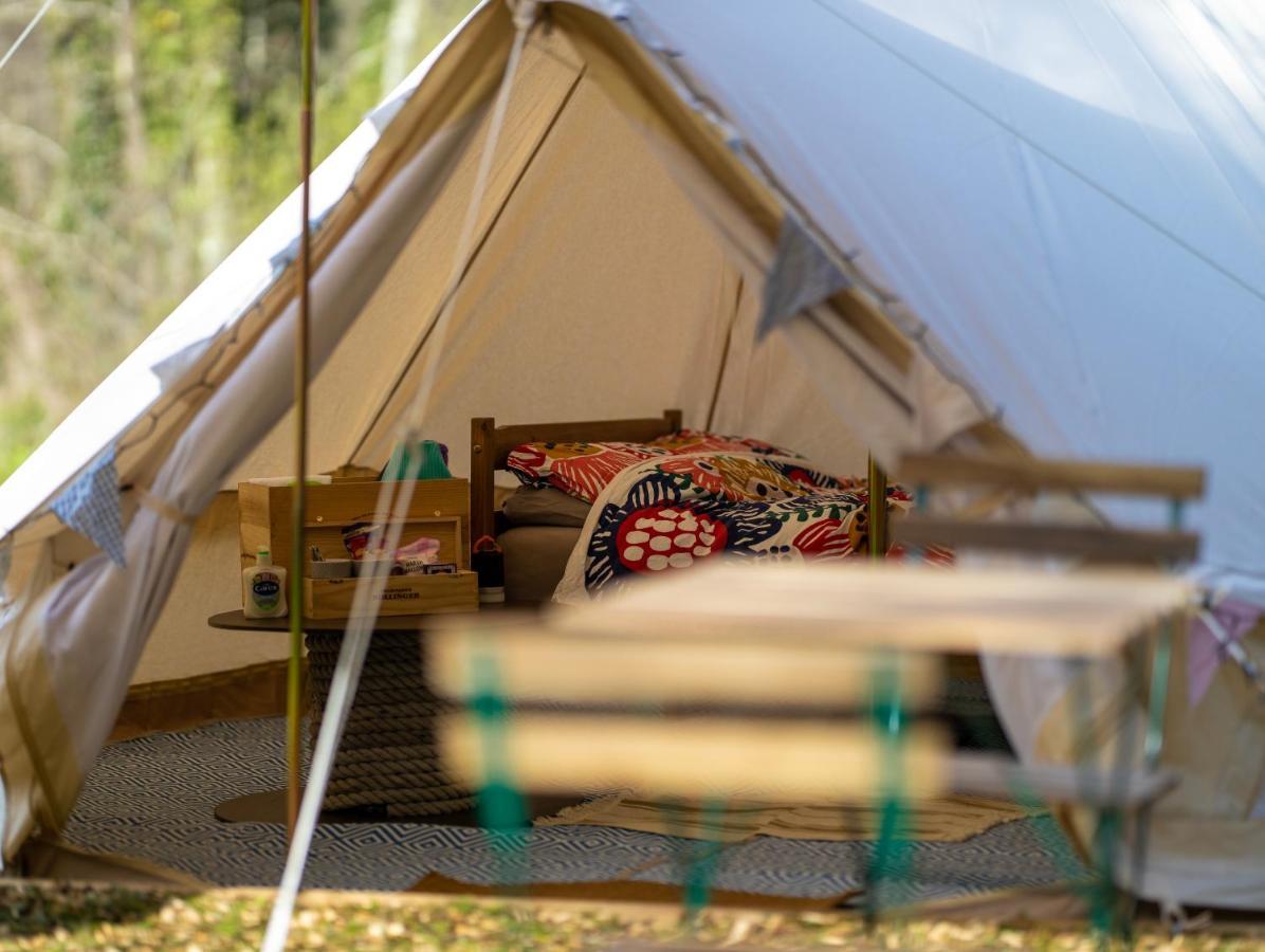 Naturally Glamping Kingsteignton Ngoại thất bức ảnh