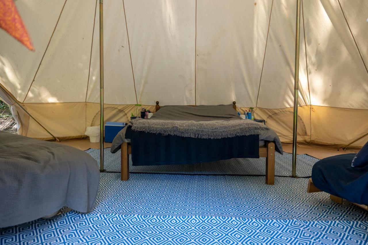 Naturally Glamping Kingsteignton Ngoại thất bức ảnh